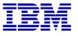  IBM